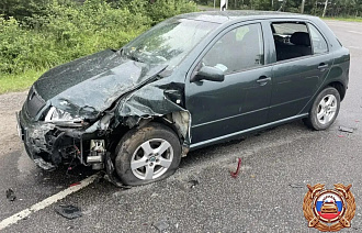 Два человека пострадали в ДТП на подъезде к ГК «Завидово» - новости Афанасий