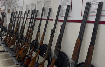 Росгвардейцы изъяли у жителей Тверской области около 30 единиц оружия - новости Афанасий