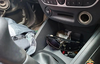 В Твери арестованы двое закладчиков гашиша - новости Афанасий