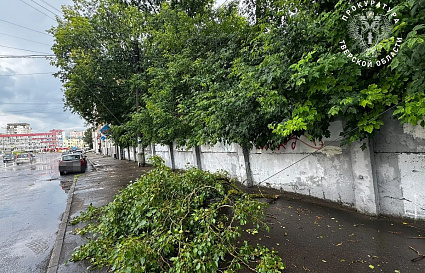 Прокуратура взяла на контроль устранение последствий непогоды в Тверской области  - новости Афанасий