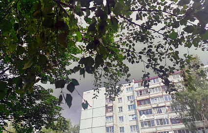В Тверской области объявлено новое штормовое предупреждение из-за грозы