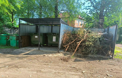 Жителям Тверской области напоминают, деревья и траву кидать в мусорки нельзя - новости Афанасий