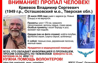 В Осташковском округе пропал пенсионер с деревянной палочкой и желтым пакетом - новости Афанасий