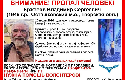 В Осташковском округе пропал пенсионер с деревянной палочкой и желтым пакетом - новости Афанасий