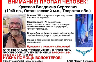 Поисковики просят помощи в розыске пожилого доцента МГУ, пропавшего близ Селигера - новости Афанасий