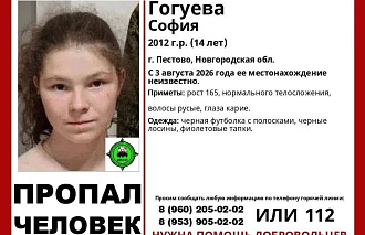 В Тверской области может находиться пропавший ребенок из соседнего региона - новости Афанасий