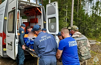 Под Бежецком мужчину пришлось выносить из леса на носилках - новости Афанасий