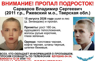 В лесах Тверской области продолжаются поиски 15-летнего мальчика - новости Афанасий