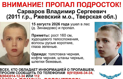 В лесах Тверской области продолжаются поиски 15-летнего мальчика - новости Афанасий