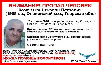 В Оленинском районе разыскивают пропавшего грибника - новости Афанасий