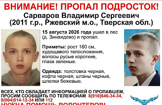 Бастрыкин взял на контроль поиски мальчика в Тверской области - новости Афанасий