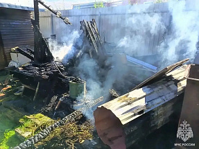 Под Тверью дачник сжигал мусор и случайно сжег сарай - новости Афанасий