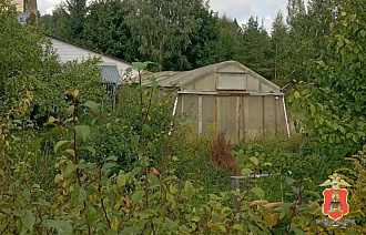 У жительницы Удомли Тверской области обнаружили на даче теплицу с коноплёй - новости Афанасий