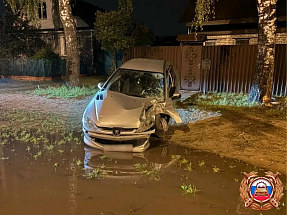 Ночью в Твери девушка-водитель сначала стукнула дерево, потом угодила в лужу - новости Афанасий