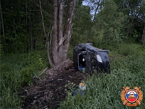 В Старице будут судить пьяного водителя, по вине которого погиб человек - новости Афанасий