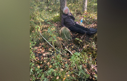 Под Лихославлем спасли пенсионерку, почти двое суток находившуюся в лесу - новости Афанасий