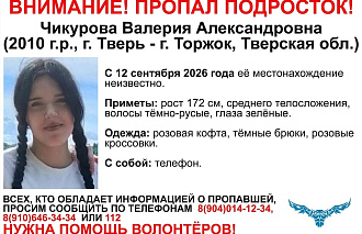 В Тверской области пропала 16-летняя девочка - новости Афанасий
