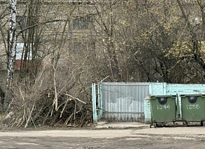 Жителям Тверской области напомнили, что нельзя кидать в мусорные контейнеры - новости Афанасий