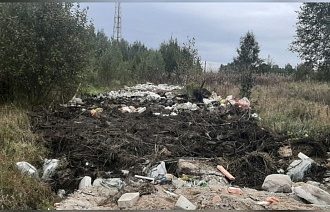 Под Тверью устроили свалку кирпича, рубероида и прочих строительных отходов - новости Афанасий