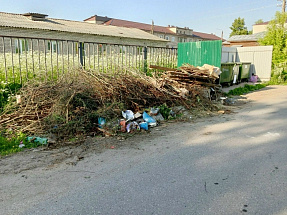 В Калининском районе 11 камер следят за выброшенными где попало отходами - новости Афанасий