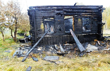 После ночного пожара под Конаково и гибели людей возбуждено уголовное дело - новости Афанасий