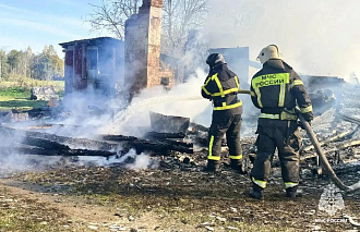 На пожаре под Ржевом в Тверской области пострадала женщина - новости Афанасий