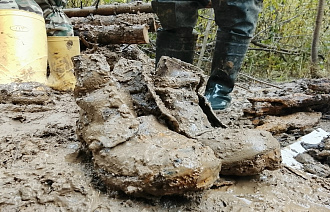 В Ржеве в засыпанном окопе нашли останки двух красноармейцев - новости Афанасий