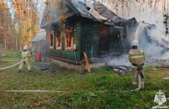 В Кувшиново Тверской области на пожаре пострадала женщина - новости Афанасий