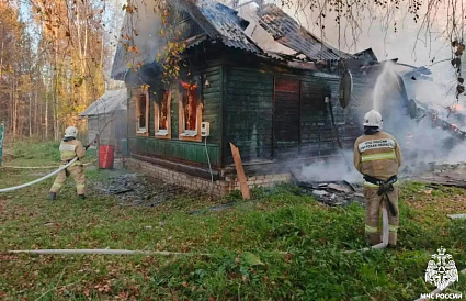 В Кувшиново Тверской области на пожаре пострадала женщина - новости Афанасий
