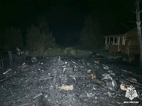 На пожаре в Зубцовском районе погиб человек - новости Афанасий