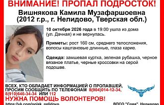 Третья за сутки девушка пропала в Тверской области - новости Афанасий
