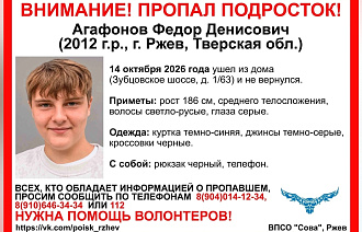 В Ржеве пропал подросток - новости Афанасий