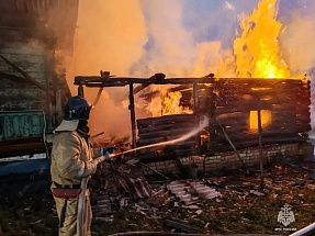 На пожаре в Зубцовском районе нашли тело погибшего мужчины - новости Афанасий