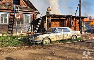 Под Селижарово в Тверской области МЧС спасли деревню от огня - новости Афанасий