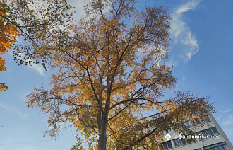 Сегодня в Твери все еще аномально тепло
