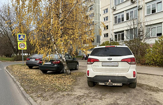 В Твери в 2026 году за парковку на газонах наказали более тысячи водителей - новости Афанасий